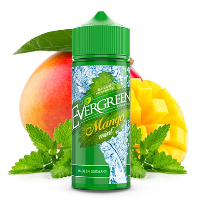 Evergreen - Mango Mint Aroma