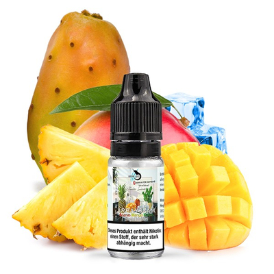 Hayvan Juice NicSalt Liquid - Baba Line Arbayzam 20mg